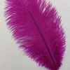 Zucker Ostrich Feather (Vibrant Berry)
