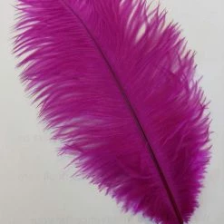Zucker Ostrich Feather (Vibrant Berry)