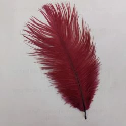 Zucker Embellishments Ostrich Feather (Burgundy)