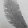 Zucker Embellishments Ostrich Feather (Silver)