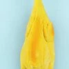 Forum Accessories Fake Chicken
