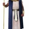California Costumes Ancient Egyptian Costume (Adult)