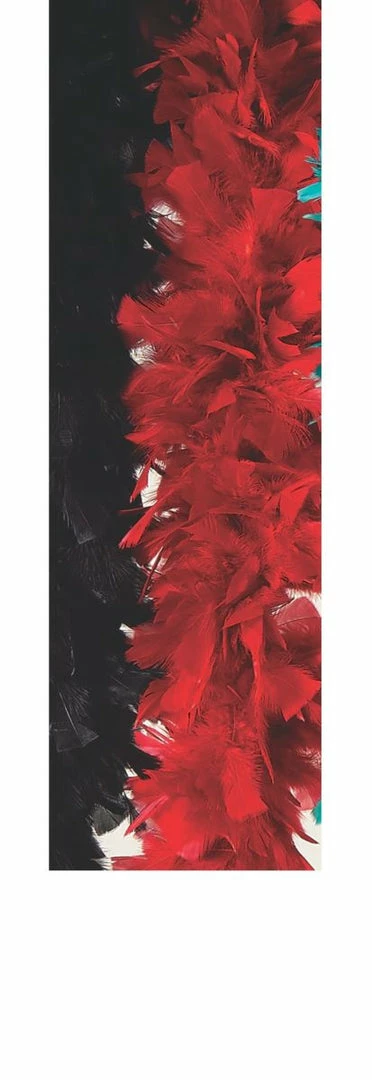 Rubies Turkey Feather Boa Embellishments 3 Rubies Turkey Feather Boa Embellishments