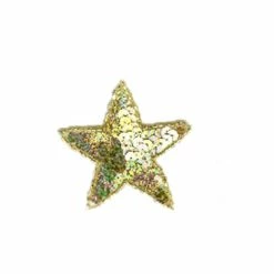 Glitz Sequin Star Applique - Small