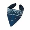 Beistle Themes Bandana