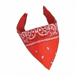 Beistle Themes Bandana