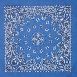 Apple Accessories Paisley Bandana