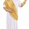 Fun World Costumes Hail Caesar Toga (Adult) 1 Fun World Costumes Hail Caesar Toga (Adult)