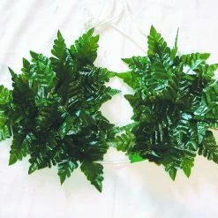 JH Hat Company Fern Leaf Bikini Top Cultural