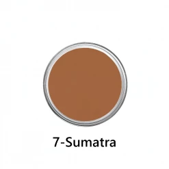 Makeup MatteHD Foundation - Sahara Series By Ben Nye