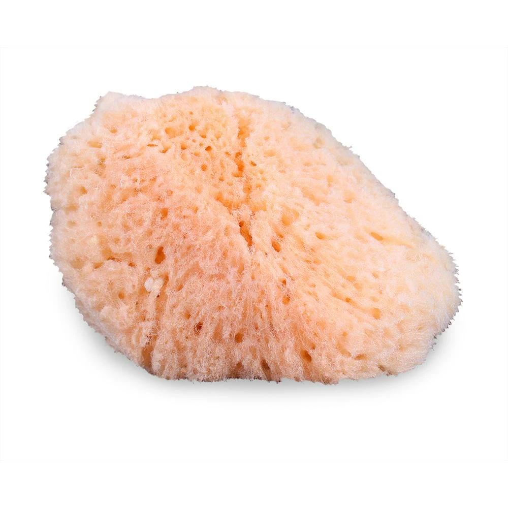 Makeup Sea Sponge By Mehron 3 Makeup Sea Sponge By Mehron