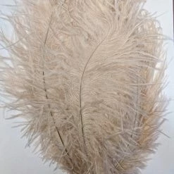 Zucker Ostrich Feather (Beige) Embellishments