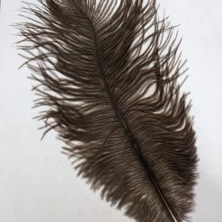 Zucker Embellishments Ostrich Feather (Brown)