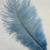 Zucker Ostrich Feather (Cornflower Blue)