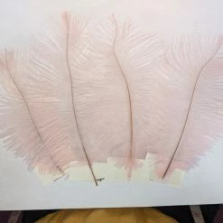 Zucker Embellishments Ostrich Feather (Light Pink)
