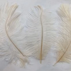Zucker Ostrich Feather (Ivory)