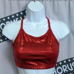 Nx3 Dance Boutique Metallic Bra Top (Adult)
