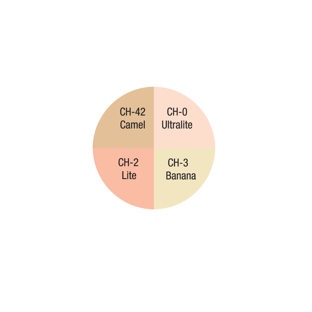 Foundations Highlight Wheel (4 Colors) By Ben Nye 4 Foundations Highlight Wheel (4 Colors) By Ben Nye