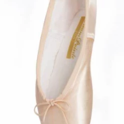 Dreampointe By Niklolay Grishko Pointe Shoes