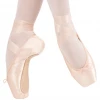 Dreampointe By Niklolay Grishko Pointe Shoes
