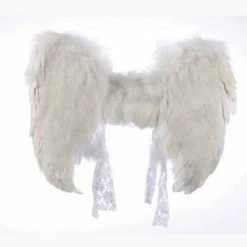 Fun World Costumes Themes Angel Feather Wings