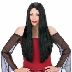 Fun World Costumes Long & Lovely Wig Black