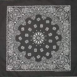 Apple Accessories Paisley Bandana
