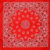 Apple Accessories Paisley Bandana