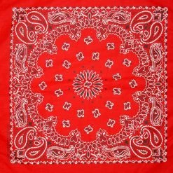 Apple Accessories Paisley Bandana