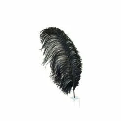Zucker Ostrich Feather (Black)