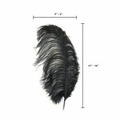 Zucker Ostrich Feather (Black)