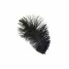 Zucker Ostrich Feather (Black) 1 Zucker Ostrich Feather (Black)
