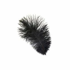 Zucker Ostrich Feather (Black)