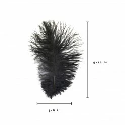 Zucker Ostrich Feather (Black)