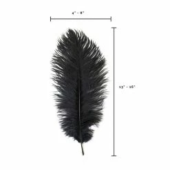 Zucker Ostrich Feather (Black)