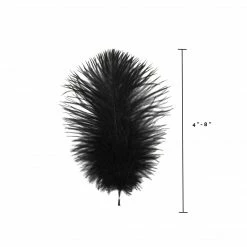 Zucker Ostrich Feather (Black)