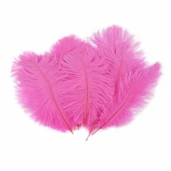 Zucker Ostrich Feather (Hot Pink) Embellishments