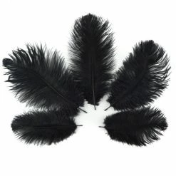 Zucker Ostrich Feather (Black)