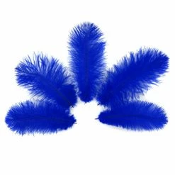 Zucker Ostrich Feather (Royal Blue) Embellishments