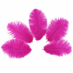 Zucker Ostrich Feather (Shocking Pink) Embellishments
