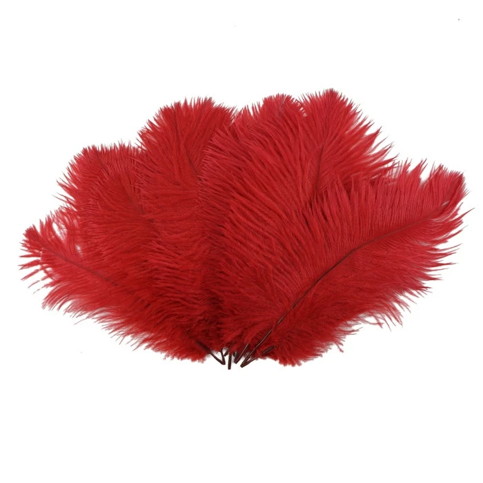 Zucker Ostrich Feather (Red) Embellishments 5 Zucker Ostrich Feather (Red) Embellishments