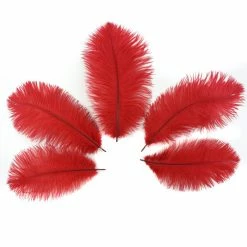 Zucker Ostrich Feather (Red) Embellishments 16 Zucker Ostrich Feather (Red) Embellishments