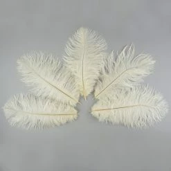 Zucker Ostrich Feather (Ivory)