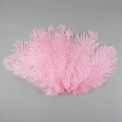 Zucker Embellishments Ostrich Feather (Light Pink)