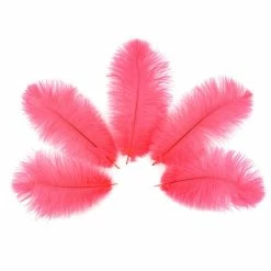 Zucker Ostrich Feather (Hot Pink) Embellishments