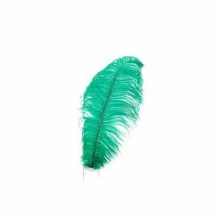 Zucker Ostrich Feather (Green) Embellishments
