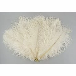 Zucker Ostrich Feather (Ivory)