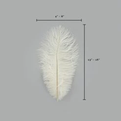 Zucker Ostrich Feather (Ivory)
