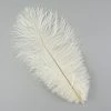 Zucker Ostrich Feather (Ivory)