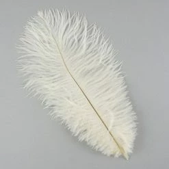 Zucker Ostrich Feather (Ivory)